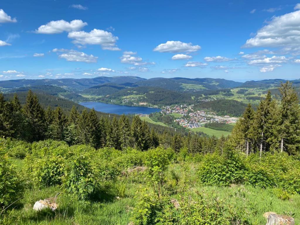 Gaestehaus Steiert Fewo Kuhbergblick Lenzkirch Exterior foto